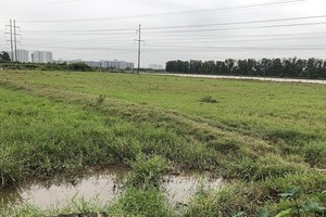 Dự án Khu giáo dục Nguyễn Trãi đã đằng đẵng treo 15 năm qua. Trong ảnh: Hiện trạng một góc khu đất Dự án