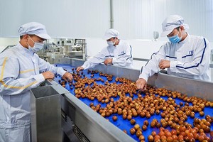 Tấp nập dự án Kl994 nhà cái bóng đá world cup, chế biến rau quả
