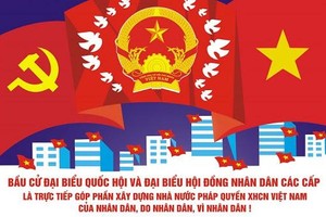 Hình minh họa.