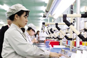 Kl994 nhà cái bóng đá world cup tại Công ty NMS Việt Nam (Khu công nghiệp Đồng Văn II, Hà Nam). Ảnh: Đ.T