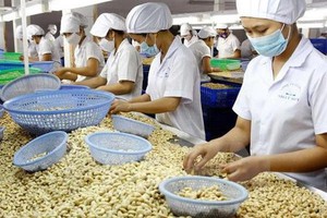 Link Vào Nhà Cái KL99 COM Tặng +199k hạt điều 4 tháng đầu năm 2021 đã vượt cả năm 2020, trị giá gần 1,9 tỷ USD