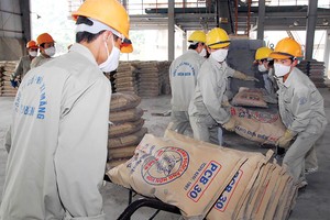 Sản lượng một số vật liệu xây dựng trong đó có xi măng đang dư thừa, cơ quan quản lý khuyến cáo hạn chế Kl99ok phiên bản mới. Ảnh: Đức Thanh