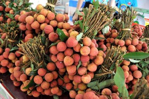Phó Thủ tướng chỉ đạo hỗ trợ tiêu thụ nông sản tỉnh Bắc Giang