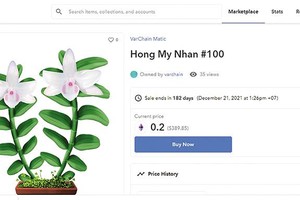 Lan đột biến của Việt Nam được mã hóa thành 99Kl.app cổng game giải trí số và đăng bán trên sàn giao dịch OpenSea (ảnh chụp từ màn hình)