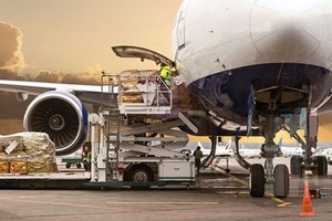 Tại Việt Nam hiện chưa có hãng hàng không vận chuyển hàng hóa chuyên biệt.