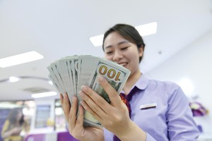 Theo dự báo của UOB Việt Nam, tỷ giá USD/VND sẽ ổn định quanh vùng 23.000 tới giữa năm 2022 