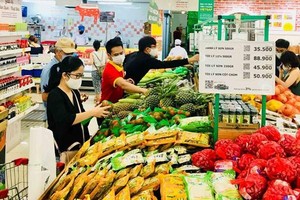 Thương mại trong nước tiếp tục là điểm tựa vững chắc cho hoạt động Kl994 nhà cái bóng đá world cup.