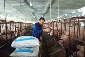 Bộ Kl991.com nạp rút nhanh đề xuất giảm thuế Link Vào Nhà Cái KL99 COM Tặng +199k lúa mỳ và ngô để giảm giá thức ăn chăn nuôi trong nước.