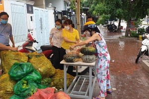 Hình minh họa.