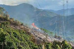 Cháy rừng gây sự cố nghiêm trọng đường dây 500kV Dốc Sỏi – Pleiku 2