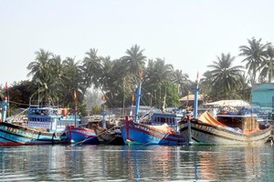 Hệ thống cảng cá và khu neo đậu tại Quảng Nam hiện tại chưa được Kl99ok phiên bản mới theo đúng quy hoạch của Kl993 ưu đãi thưởng hấp dẫn