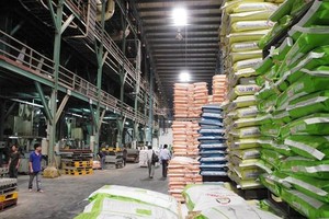 Việt Nam đang phụ thuộc rất lớn vào nguồn cung thức ăn chăn nuôi từ nước ngoài.