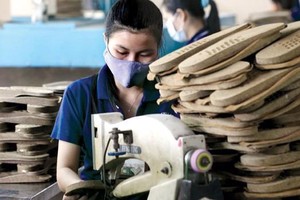 Giảm gần 44% chi phí thủ tục hành chính lĩnh vực hỗ trợ Kl991.com World Cup 2026 Chính Thức nhỏ và vừa