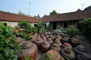 Sân nhà cổ trong Di tích làng cổ Đường Lâm, thị xã Sơn Tây (Hà Nội) (Ảnh: Thanh Hà/TTXVN)