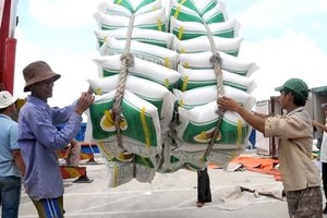 Xuất khẩu gạo tiếp tục gặp khó khăn do cảng Tân Cảng Hiệp Phước tạm ngừng dịch vụ đóng rút gạo