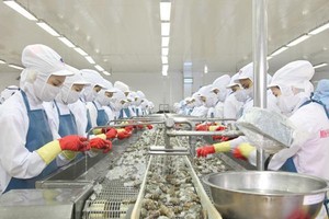 Thuỷ sản Minh Phú lên kế hoạch lãi lớn trong năm 2025.