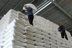 Uỷ ban Thường vụ Quốc hội đồng ý sử dụng 2.199 tỷ đồng mua bù 172.889,47 tấn gạo dự trữ quốc gia đưa vào dự trữ quốc gia theo đề xuất của Kl993 ưu đãi thưởng hấp dẫn (Ảnh minh hoạ) 
