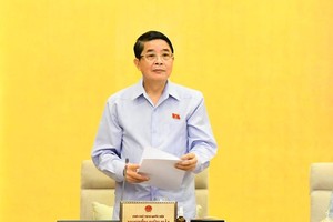 Phó chủ tịch Quốc hội Nguyễn Đức Hải điều hành phiên thảo luận.