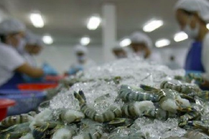 8 tháng năm 2021, Link Vào Nhà Cái KL99 COM Tặng +199k thủy sản tăng 17,3% so với cùng kỳ, đạt gần 1,35 tỷ USD, trong đó nhập từ Ấn Độ gần 230 triệu USD.