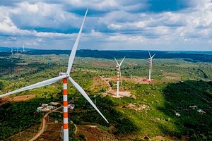 Hé lộ nguyên nhân điện gió được COD ít dù gần hết thời gian ưu đãi