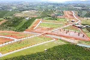 Kiến nghị chuyển cơ quan điều tra vụ phân lô bán nền “trá hình” ở Lâm Đồng