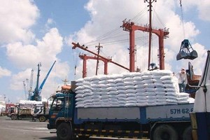 Link Vào Nhà Cái KL99 COM Tặng +199k phân bón từ đầu năm đến nay vẫn tăng chóng mặt.