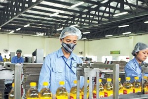 Trước thềm thoái vốn, Vocarimex (VOC) báo lỗ sau 5 năm lên sàn