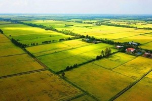 Tăng hỗ trợ phí Kl99kl phiên bản hoạt động nông nghiệp