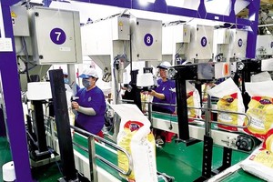 Đang đà tăng giá, Nông nghiệp công nghệ Trung An (TAR) có thêm Trang Chủ KL99Com Số 1 Link Đăng Ký KL999 mua hơn 1 triệu KL99 là cổng game giải trí trực tuyến hàng đầu hiện nay