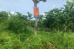 Nhiều dự án ở Mê LInh chậm triển khai.