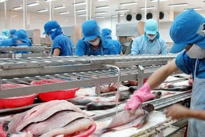 Giá cá tra có xu hướng phục hồi sớm hơn và mạnh mẽ hơn tác động tích cực tới doanh thu của Vĩnh Hoàn.