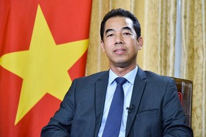 Thứ trưởng Ngoại giao Tô Anh Dũng (Ảnh: BNG)