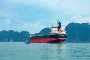 Hòa Phát mua thêm tàu The Prosperity tải trọng hơn 80.000 tấn