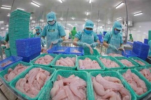 Chế biến cá tra xuất khẩu. (Ảnh: Vũ Sinh/TTXVN)