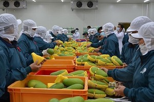 Việt Nam đã có 11 nhóm hàng xuất khẩu trên 1 tỷ USD sang thị trường Trung Quốc sau 11 tháng.