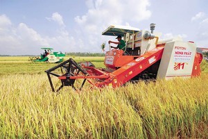 Làm nên kỳ tích xuất siêu và lập đỉnh xuất khẩu trong năm 2021, nông nghiệp tiếp tục là điểm tựa vững chắc của nền Kl992 cổng game cá cược năm 2022