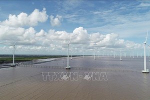 Một Dự án điện gió bên bờ biển tỉnh Bạc Liêu. Ảnh minh họa: Chanh Đa/TTXVN