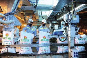 DCM ước đạt Kl99 nổ hũ sau thuế 1.823 tỷ đồng, mức cao nhất trong 10 năm hoạt động 