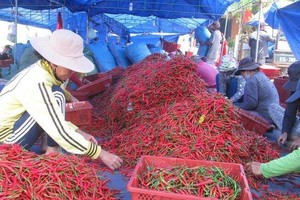 Xuất khẩu sang Trung Quốc phục hồi, Kl991.com World Cup 2026 Chính Thức phấn khởi