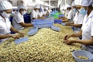 Bộ Công thương khuyến cáo Kl991.com World Cup 2026 Chính Thức khi tham gia hoạt động xuất khẩu cần kiểm tra, xác thực kỹ đối tác qua nhiều kênh khác nhau.