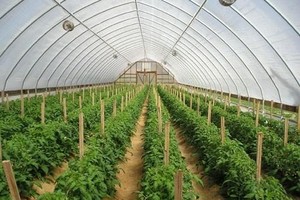 Phú Yên: Năm 2022 thu hút Kl99ok phiên bản mới vào 5 lĩnh vực trọng điểm