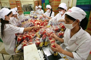 Thường trực Ủy ban Trang Chủ KL99Com Số 1 Link Đăng Ký KL999 của Quốc hội cho rằng, việc áp dụng mức trần 300 giờ/năm cho tất cả các ngành, nghề, công việc là quá rộng, vẫn cần loại trừ một số ngành, nghề. Ảnh: Đức Thanh