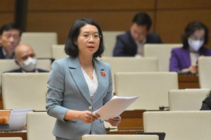 Đại biểu Mai Thị Phương Hoa (Nam Định). 