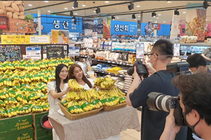 Chuối Lopang trồng tại Gia Lai, Việt Nam được giới thiệu, phân phối tại Lotte Mart, Hàn Quốc.