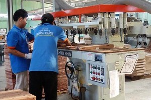 Kiểm toán nghi ngờ khả năng hoạt động liên tục của Gỗ Trường Thành (TTF)