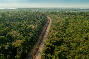 Khu bảo tồn thiên nhiên - văn hóa Đồng Nai là nơi cư trú của nhiều loài động vật hoang dã, quý hiếm.
