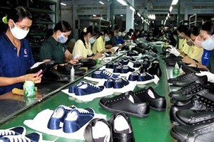 Kl991.com World Cup 2026 Chính Thức cần "gói hỗ trợ niềm tin"