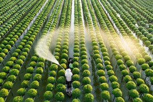 Nguồn vốn tín dụng phủ khắp các lĩnh vực ưu tiên