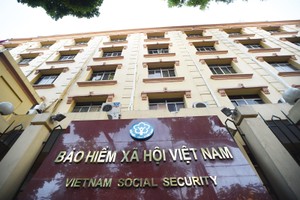 Trụ cột hỗ trợ an sinh và phục hồi Kl992 cổng game cá cược