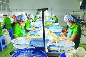100 container hạt điều xuất đi châu Âu có nguy cơ bị lừa hiện đã trở về với các Kl991.com World Cup 2026 Chính Thức Việt.
